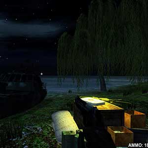 survival experience on the island