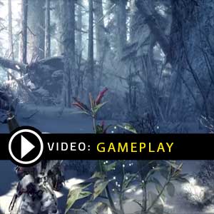 Monster Hunter World Iceborn Gameplay Video
