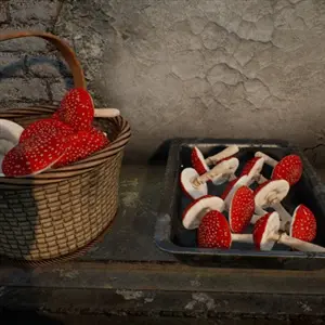 Mushroom Hunter Simulator - Preparation