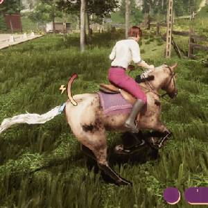 My Horse Bonded Spirits - Horse-Riding