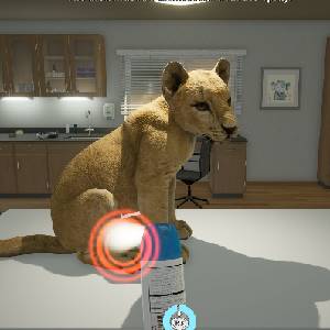 My Life: Zoo Vet - Lion Cub