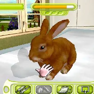 My Vet Practice - Rabbit