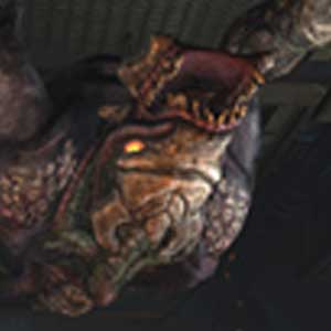 Natural Selection 2 - Enemy