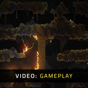 Noita Gameplay Video