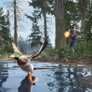 Online 404 - Duck Hunting