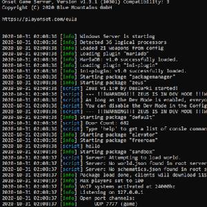 Onset - Starting Server