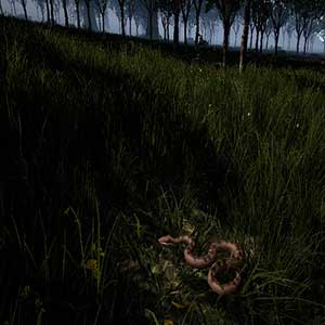 Outback Survival
