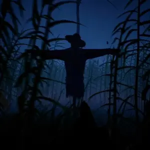 Outfield - Scarecrow