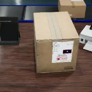 Parcel Simulator - Checking Parcel