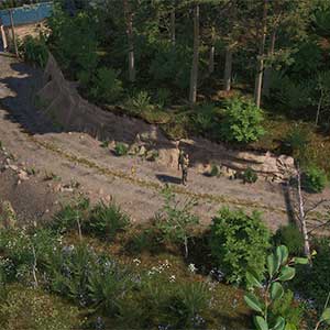 Pathogenesis Overcome Road Patrol