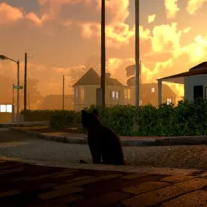 Peace Island - Street