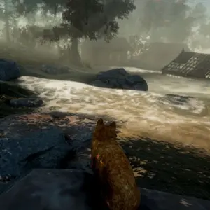 Peace Island - Landscape