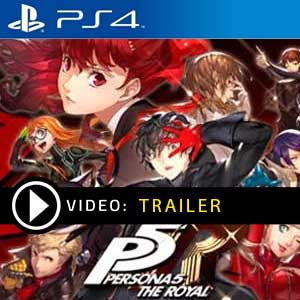 persona 5 royal price