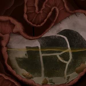 PIGROMANCE - Stomach