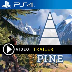 Pine PS4 Prices Digital or Box Edition