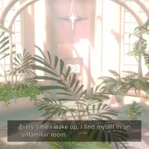 PLATONICA SPACE - Plants