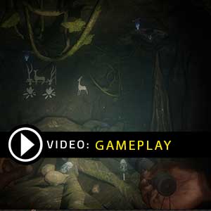 Please Find Me Gameplay Video