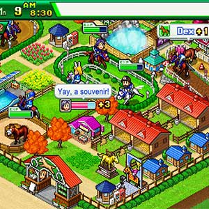 Pocket Stables - User Interface