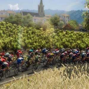 pro cycling manager 2018 cd key