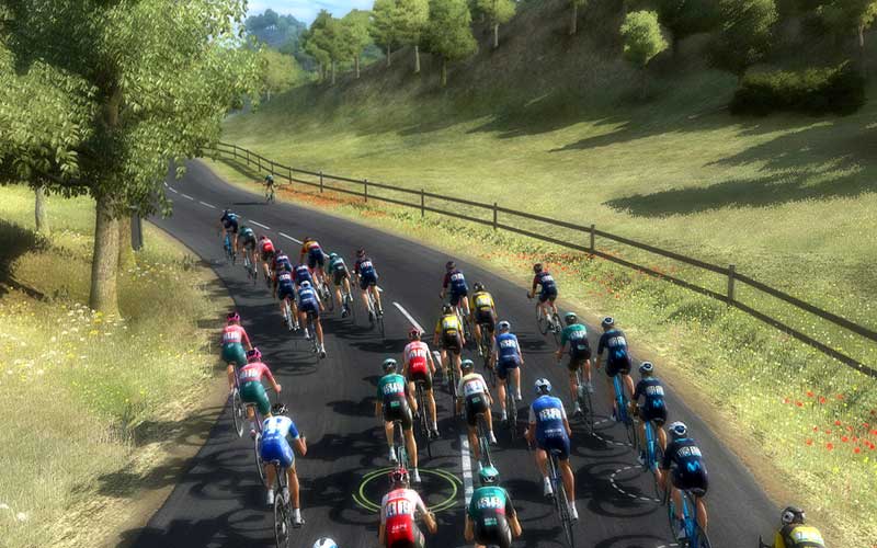 Pro Cycling Manager 2022 (Code in a box) for Windows