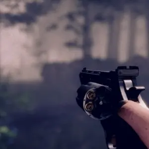 Project Songbird – Revolver