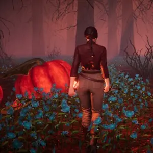 Pumpkin Woods - Large Pumpkins