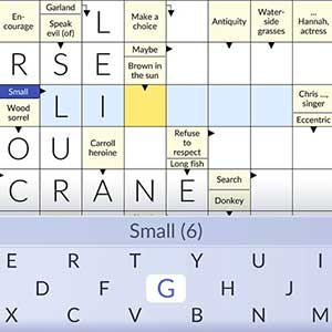 Pure Crosswords - Answer Fields