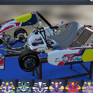 Real Kart - Stickers