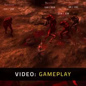 Red Risk Gameplay Video