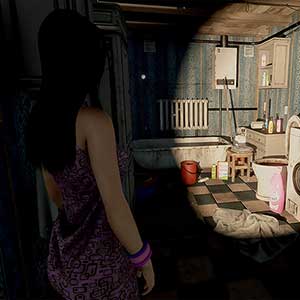 investigates their disappearance