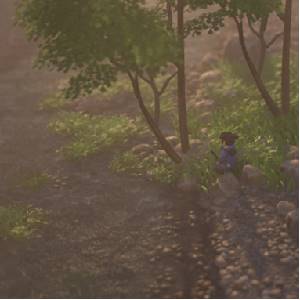 Ronin Trail - Resting