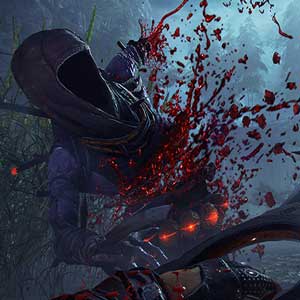 Shadow Warrior 2 Enemies