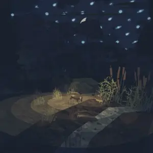 Shelter - Night Time