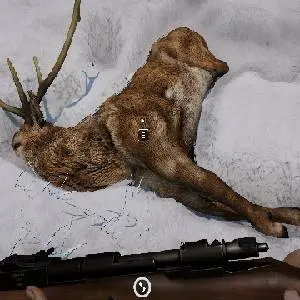 Short Snow - Deer Hunt