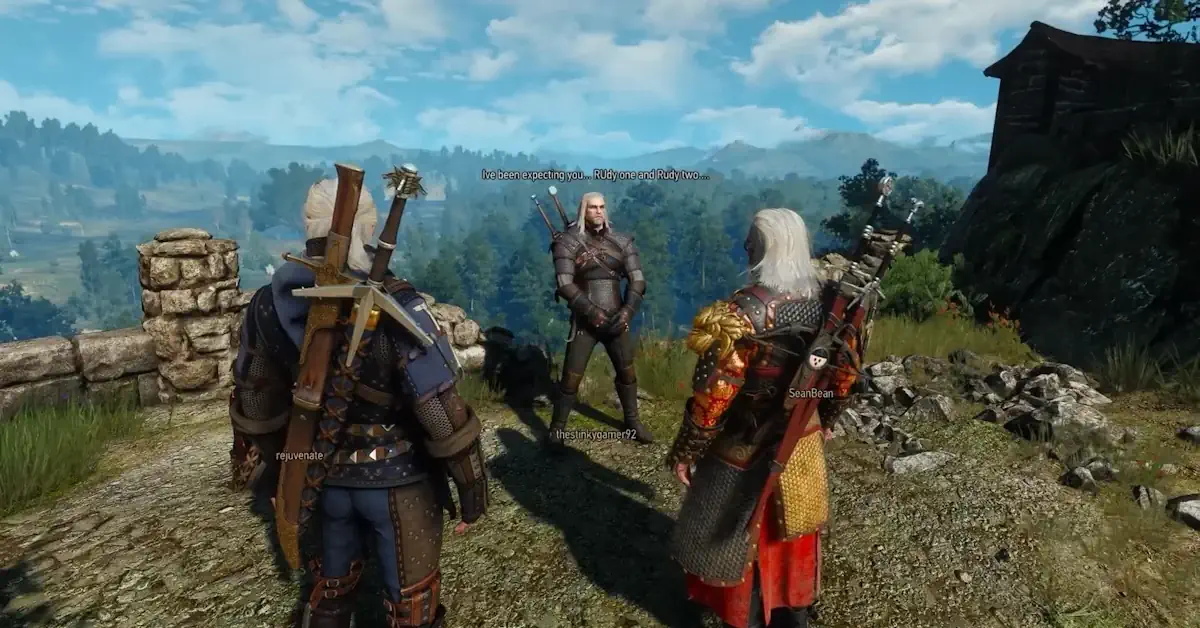 The leaked multiplayer The Witcher game will feature custom characters and a coop experience The leaked multiplayer The Witcher game will feature custom characters and a coop experience