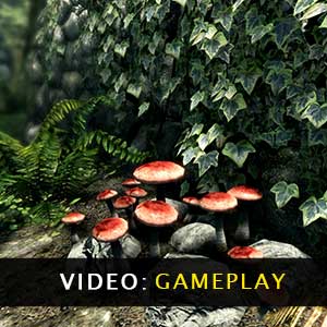 Skyrim Special Edition Gameplay Video