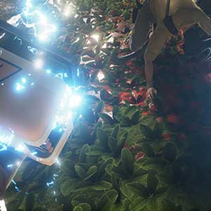 the rules of gravity