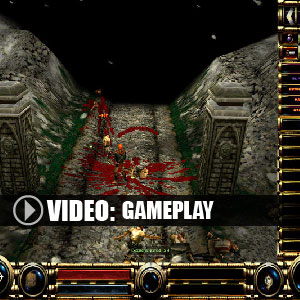 Soulbringer Gameplay Video