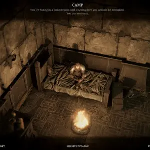 Spark in the Dark - Camp