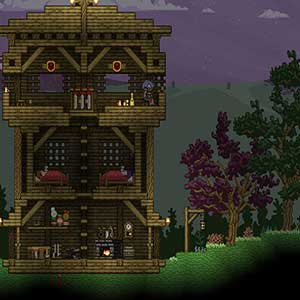 Starbound House