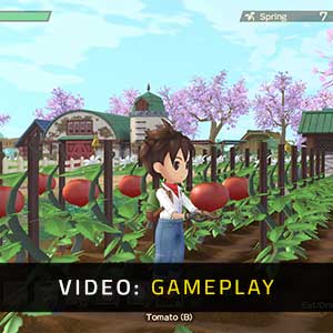 Story of Seasons A Wonderful Life - Video Gameplay