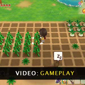 Story of Seasons Friends of Mineral Town Gameplay Video
