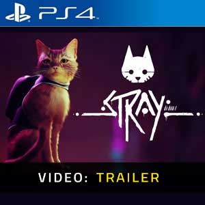 Buy Stray PS4 Compare Prices