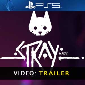 Stray PS5 Video Trailer