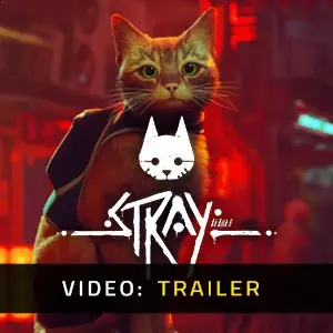 Stray - Video Trailer