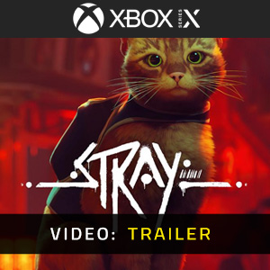 Stray Xbox Series Video Trailer