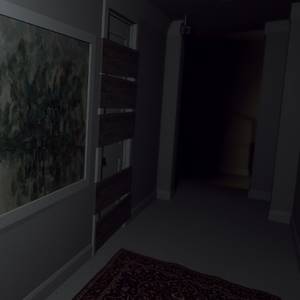 Suite 776 - Shower Room