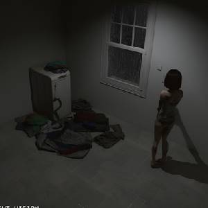 Supernormal - Laundry Room