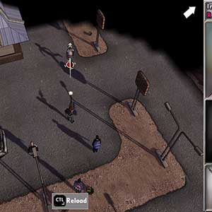 Survivalist Red Strain