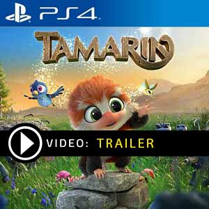 Tamarin PS4 Prices Digital or Box Edition